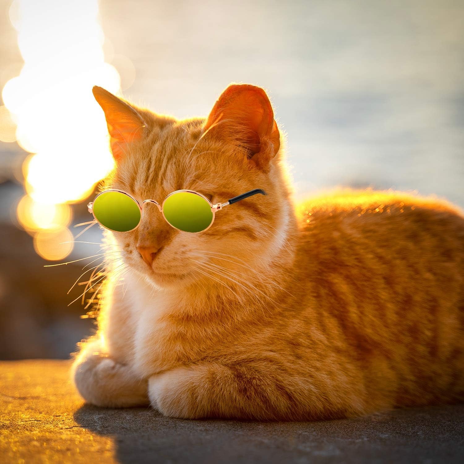 10 Pieces Cat Dog Sunglasses Funny Pet Glasses round Metal Cat Classic Retro Sunglasses Pet Hippie Cute Dog Cat Cosplay Party Costume Photo Props Cosplay Glasses (Mixed Color)