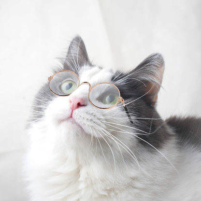 10 Pieces Cat Dog Sunglasses Funny Pet Glasses round Metal Cat Classic Retro Sunglasses Pet Hippie Cute Dog Cat Cosplay Party Costume Photo Props Cosplay Glasses (Mixed Color)